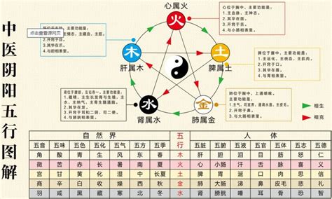 五行相乘|2．五行生克乘侮规律